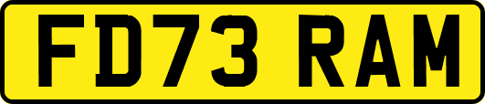 FD73RAM