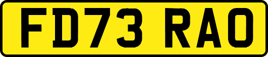FD73RAO