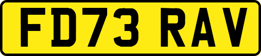 FD73RAV
