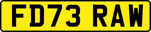 FD73RAW