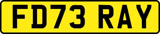 FD73RAY