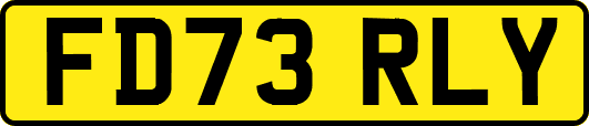 FD73RLY
