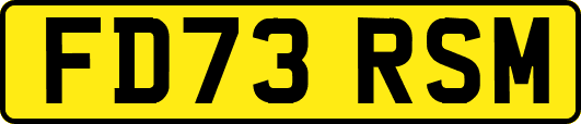 FD73RSM