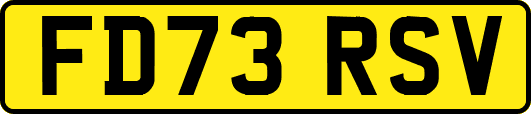 FD73RSV