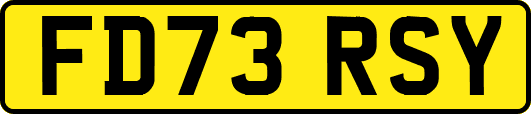 FD73RSY