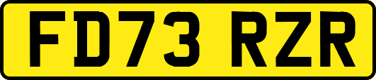 FD73RZR