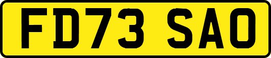 FD73SAO
