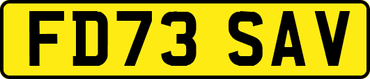 FD73SAV