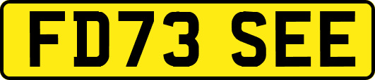 FD73SEE