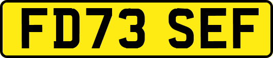 FD73SEF