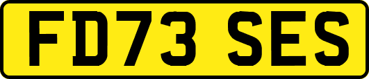 FD73SES