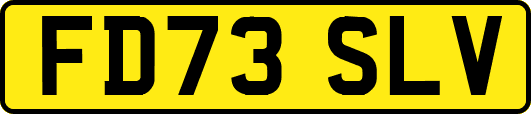 FD73SLV
