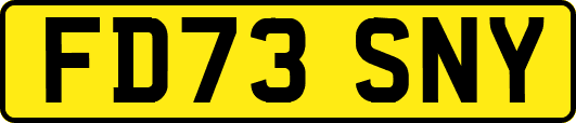 FD73SNY