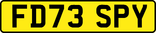 FD73SPY