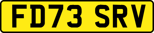 FD73SRV