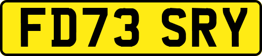 FD73SRY