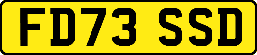FD73SSD