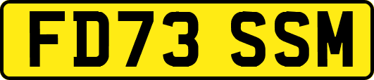 FD73SSM
