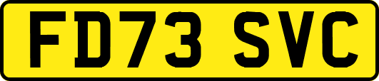FD73SVC