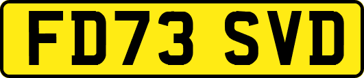FD73SVD