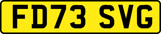 FD73SVG