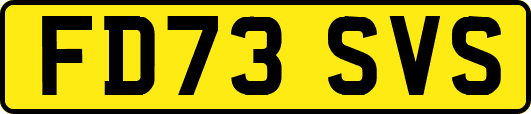 FD73SVS