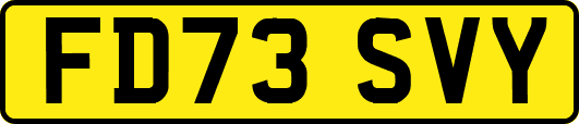 FD73SVY