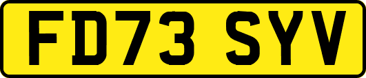 FD73SYV