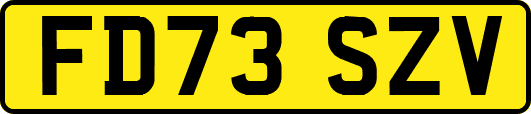 FD73SZV