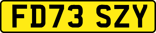 FD73SZY