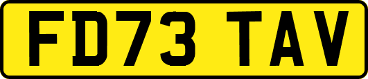 FD73TAV