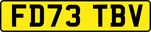 FD73TBV