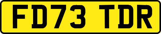 FD73TDR
