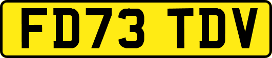 FD73TDV