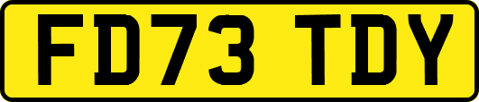 FD73TDY
