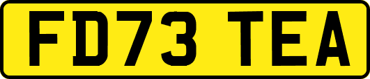 FD73TEA