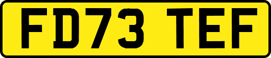 FD73TEF