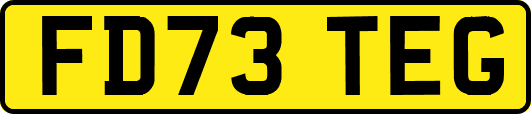 FD73TEG