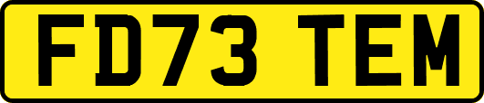 FD73TEM
