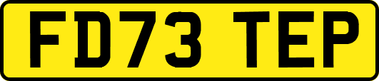 FD73TEP