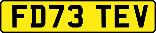 FD73TEV