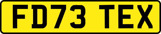 FD73TEX