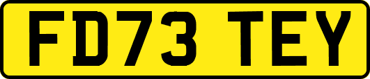 FD73TEY