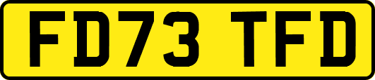 FD73TFD