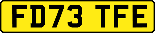 FD73TFE