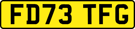 FD73TFG