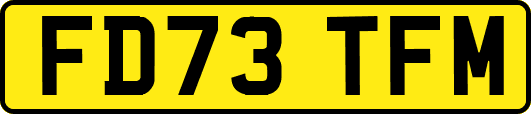 FD73TFM
