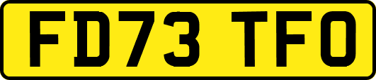 FD73TFO