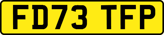 FD73TFP