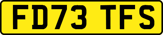 FD73TFS